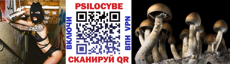 Галлюциногенные грибы GOLDEN TEACHER  Анапа 